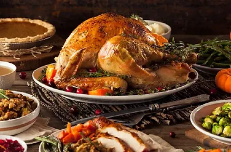 THANKSGIVING : ALL ABOUT TURKEY