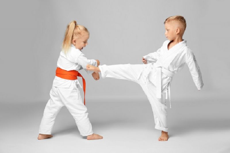 KARATE CLASS - AGES 5 To 9 YEARS  (MOTOR CITY)