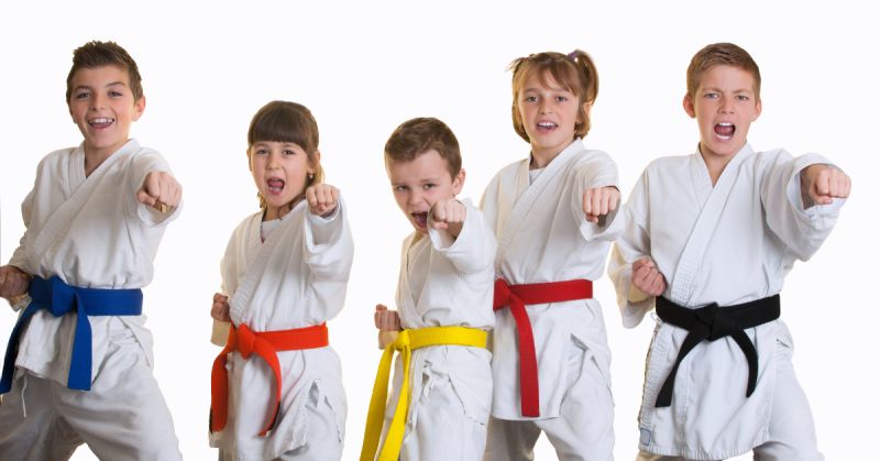 KARATE CLASS - AGES 9 To 13 YEARS (MOTOR CITY)