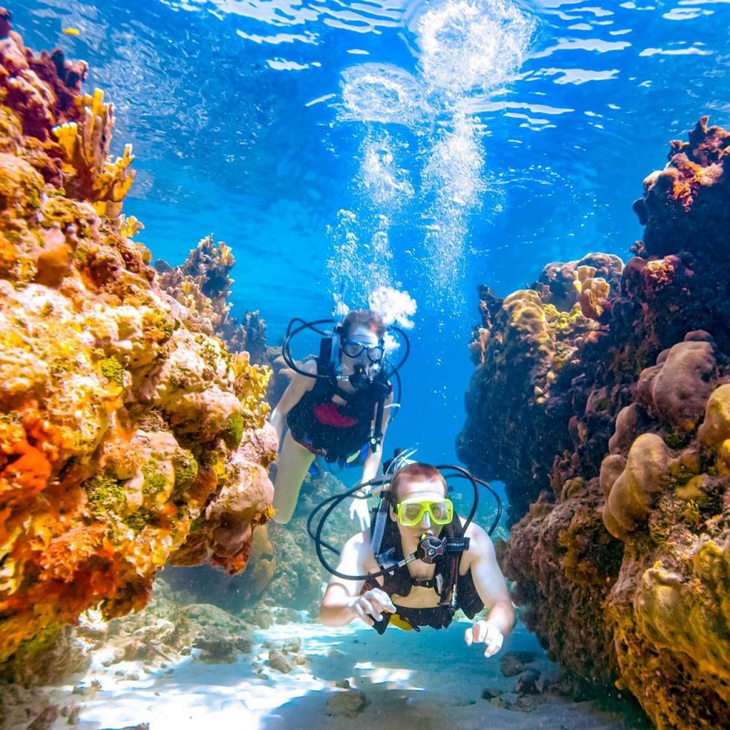 Scuba diving in dubai | pursueit