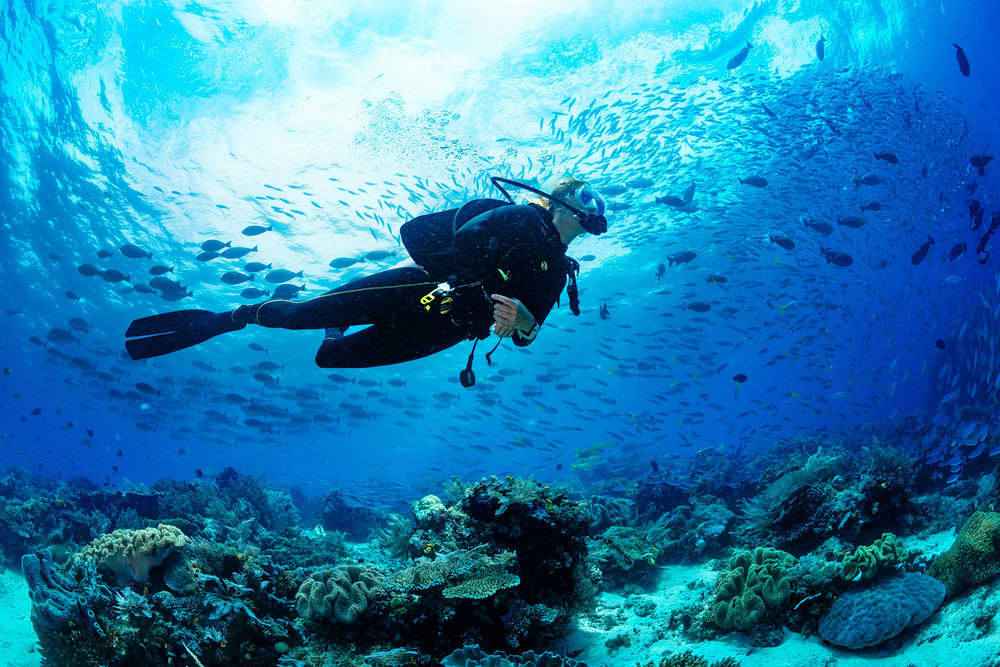 Scuba diving in dubai | pursueit