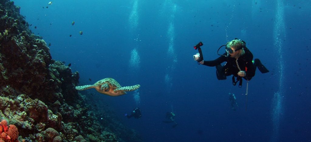 scuba diving - pursueit