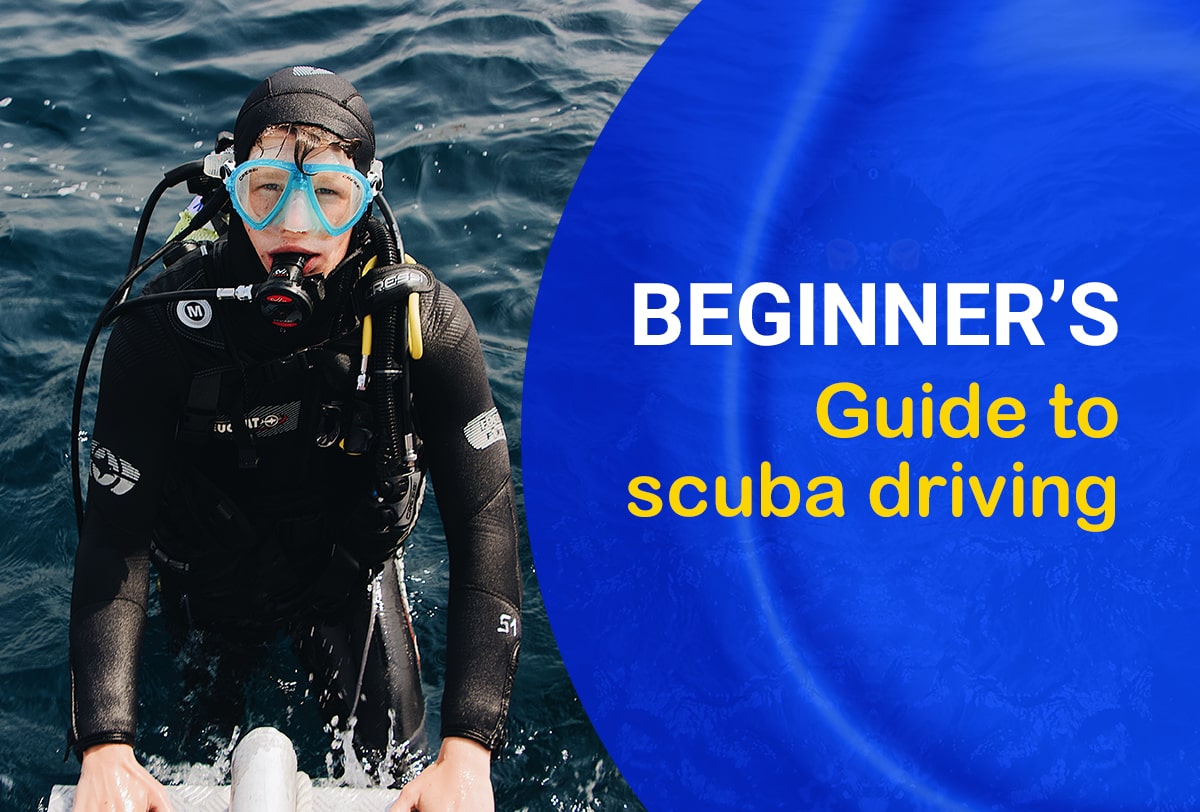 scuba diving - pursueit