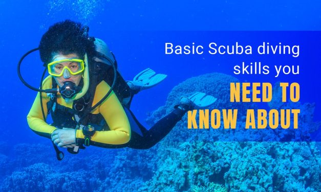 Basic Scuba Diving Skills you need to know About