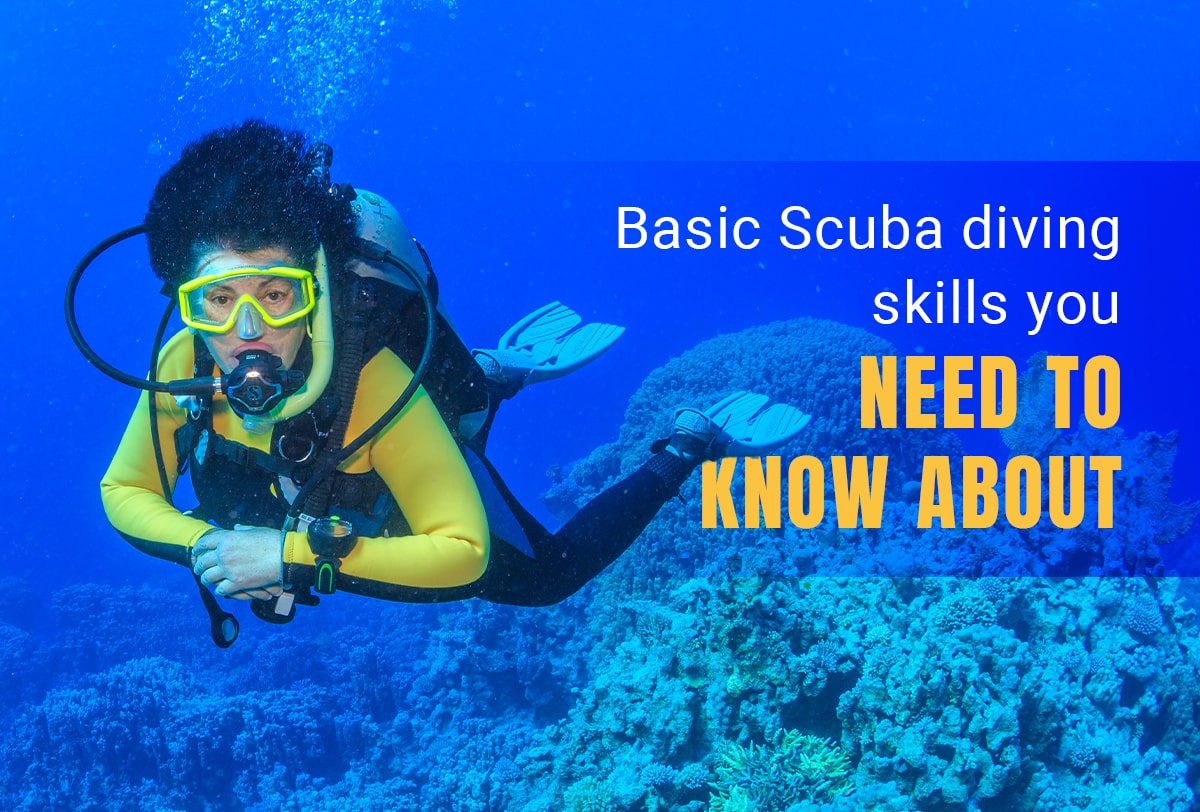 Basic scuba diving skills you need to know - pursueit