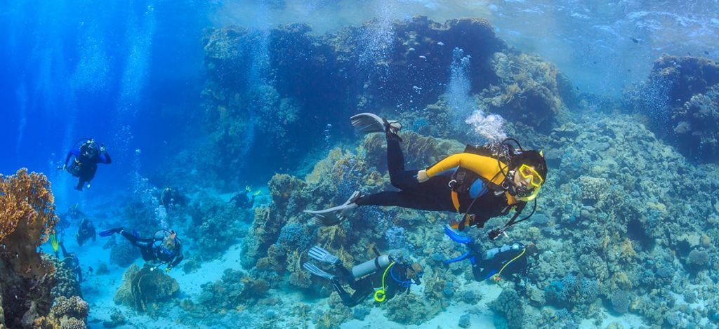 Scuba Diving in dubai - pursueit