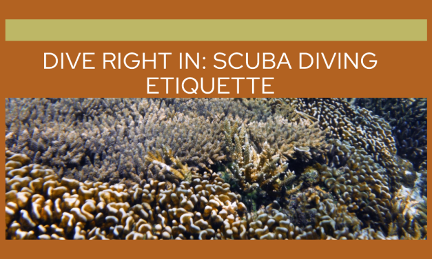 Scuba Diving Etiquette: Do’s and Donts Guidelines for Scuba Divers